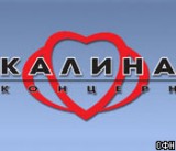 Как концерн «Калина» создает успешные бренды Как концерн «Калина» создает успешные бренды
