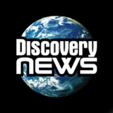 Нишевая стратегия Discovery Нишевая стратегия Discovery
